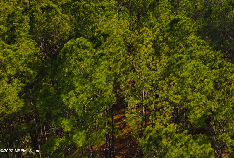 0 George Mosley, Maxville, FL 32234