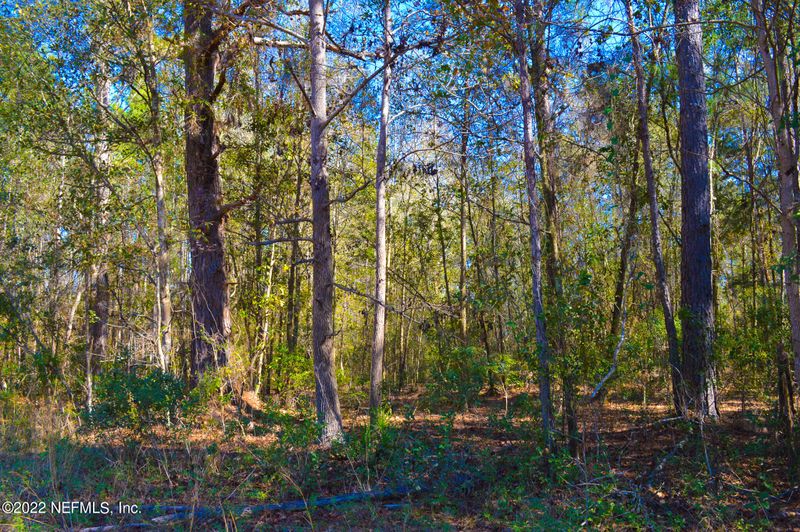0 George Mosley, Maxville, FL 32234