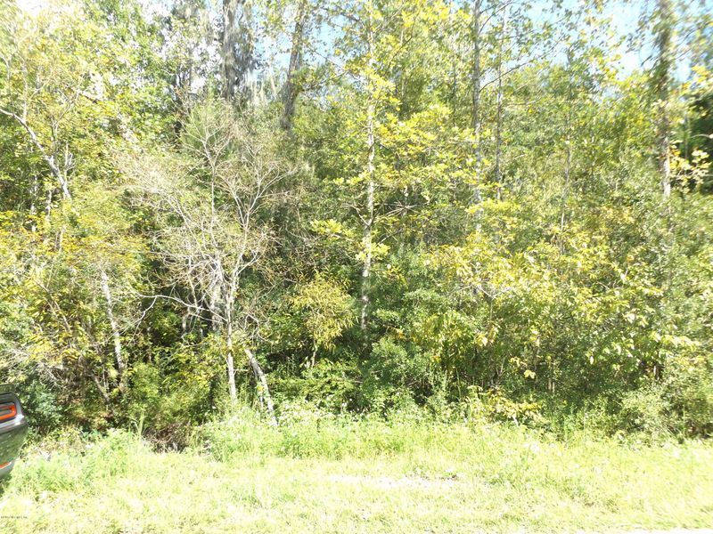 0 Green Rd, Middleburg, FL 32068
