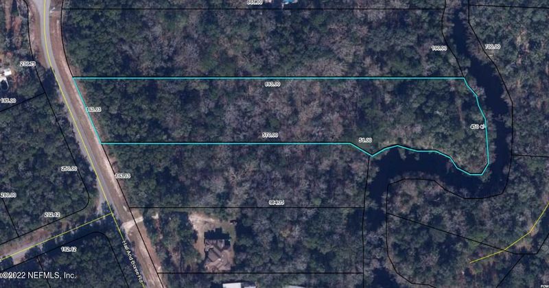 0 Hall Boree 3 19 Ac Rd, Middleburg, FL 32068