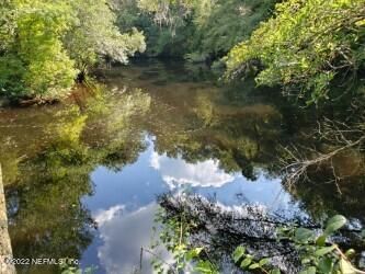 0 Hall Boree 3 19 Ac Rd, Middleburg, FL 32068