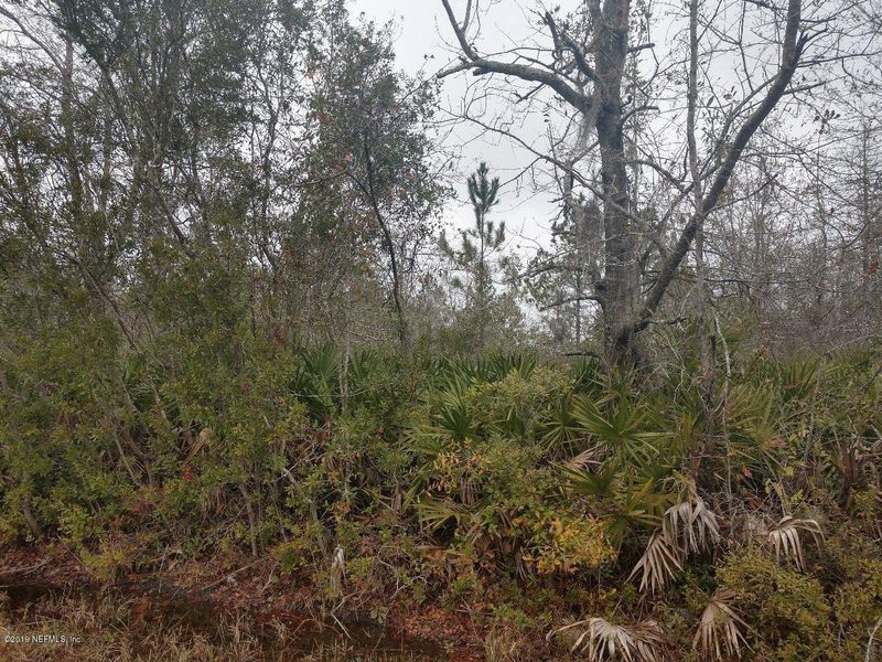 0 Hattie Nolan Rd, Middleburg, FL 32068