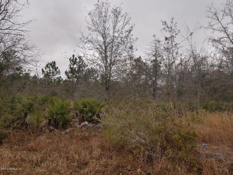 0 Hattie Nolan Rd, Middleburg, FL 32068