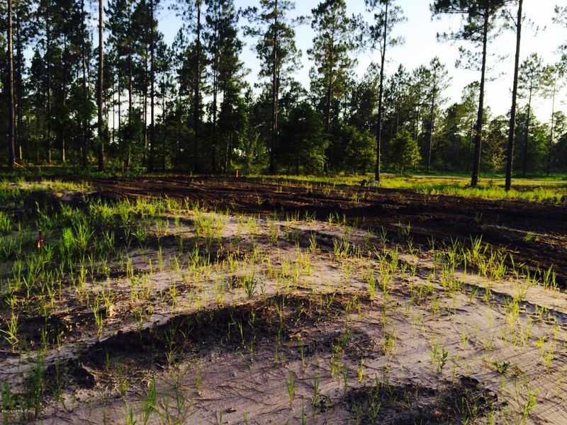 0 Hearthstone Way, Callahan, FL 32011