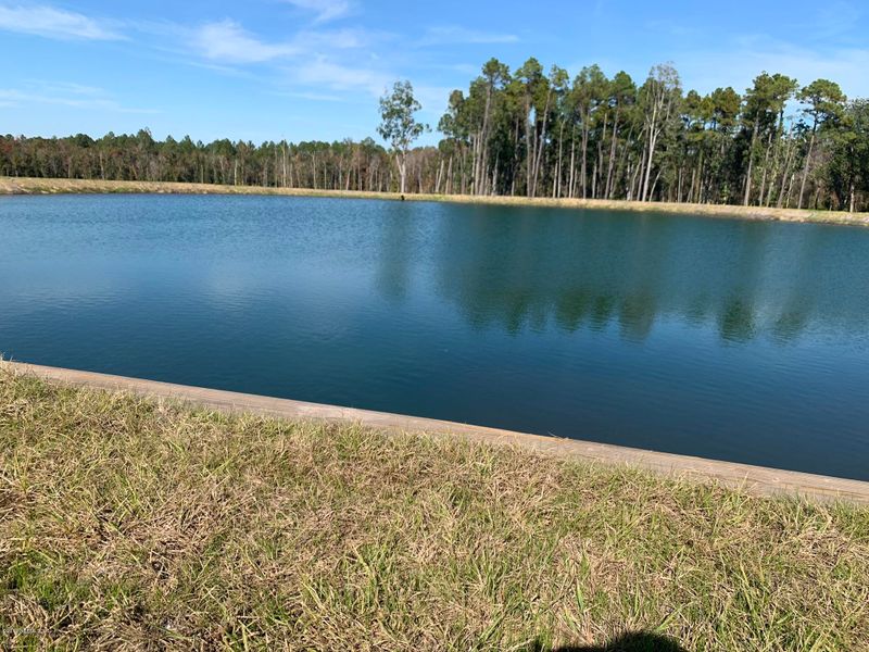 0 Henry Lee Rd, Hilliard, FL 32046