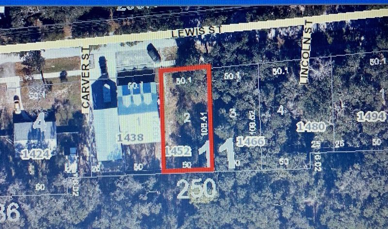 0 Lewis St, Fernandina Beach, FL 32034