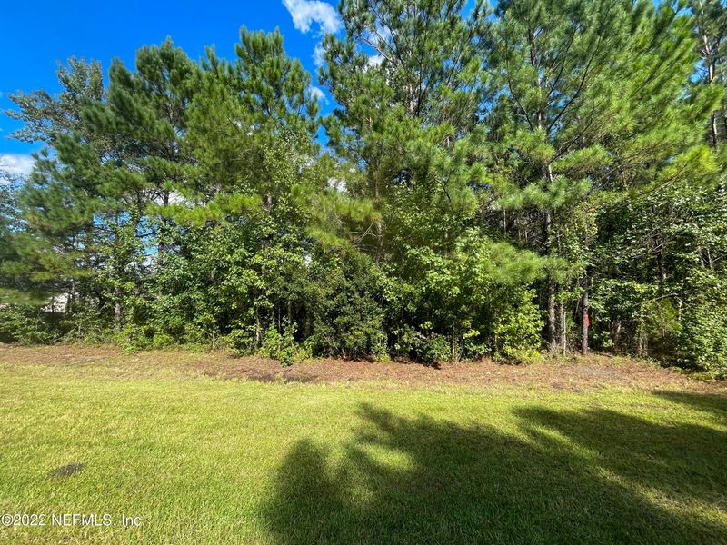 0 Little Sweetgum Ln, Callahan, FL 32046