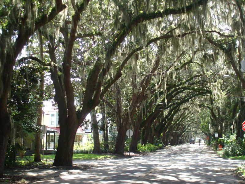 0 Magnolia Ave, St Augustine, FL 32084
