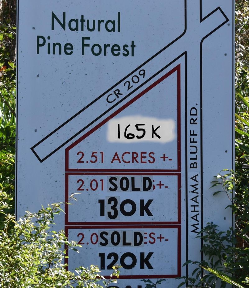 0 Mahama Bluff Rd, Green Cove Springs, FL 32043