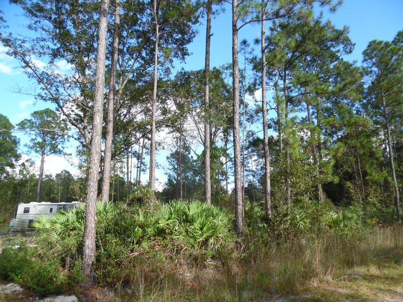 0 Mcallister Rd, Middleburg, FL 32068