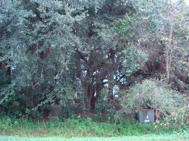 0 N Leafdale Cir, Jacksonville, FL 32218