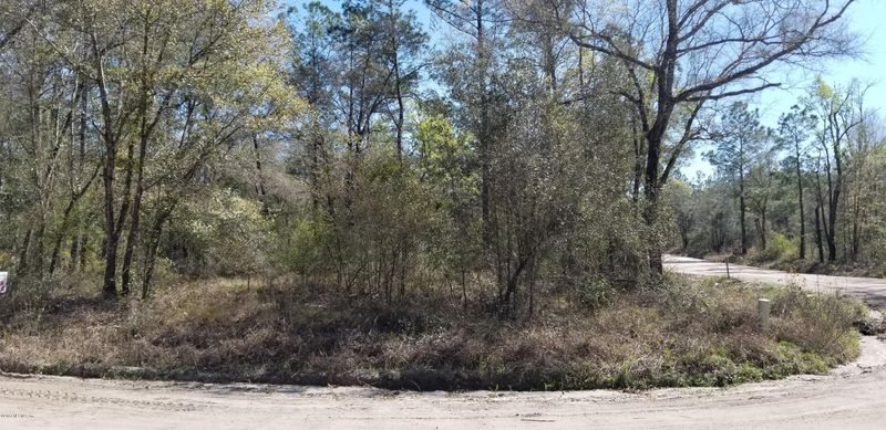 0 Nelson Rd, Hilliard, FL 32046