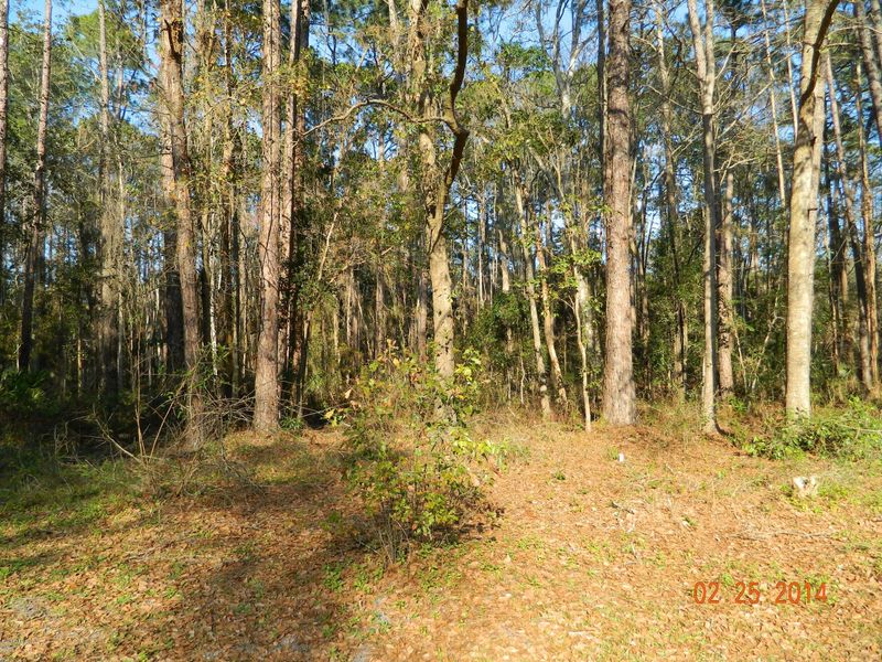 0 Park St, Jacksonville, FL 32256