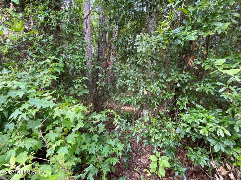 0 Perry Rd, Green Cove Springs, FL 32043