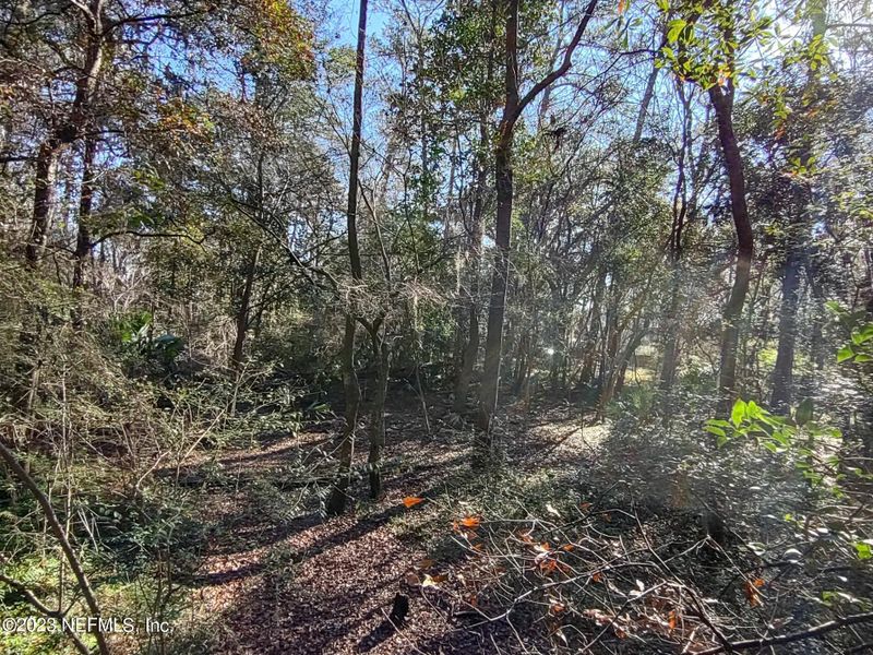 0 Potomac Ave, Jacksonville, FL 32254