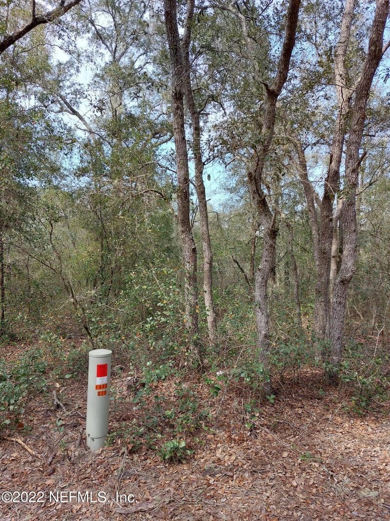 0 Rookery Rd, Keystone Heights, FL 32656