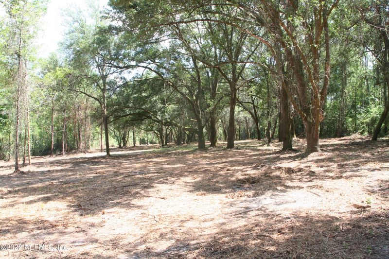 0 Roy Sikes Rd, Hilliard, FL 32046