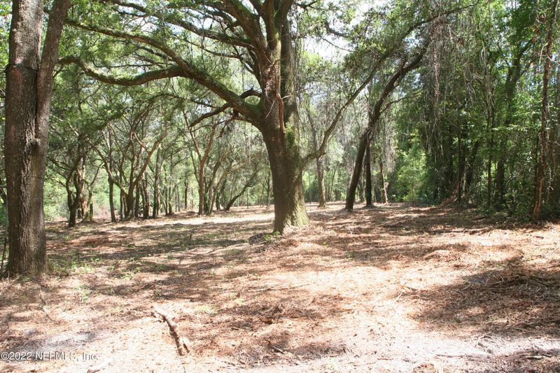 0 Roy Sikes Rd, Hilliard, FL 32046