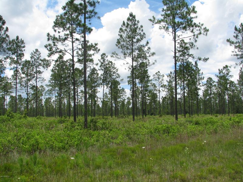 0 Sagebrush Ln, Callahan, FL 32011