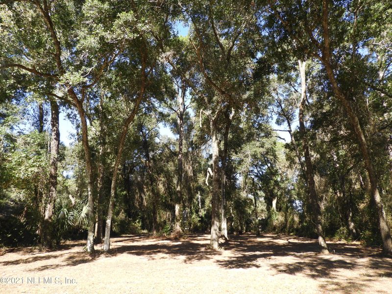 0 SE 27th Loop, Melrose, FL 32666