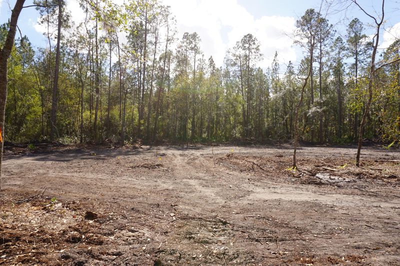 0 SW 137th Ave, Starke, FL 32091