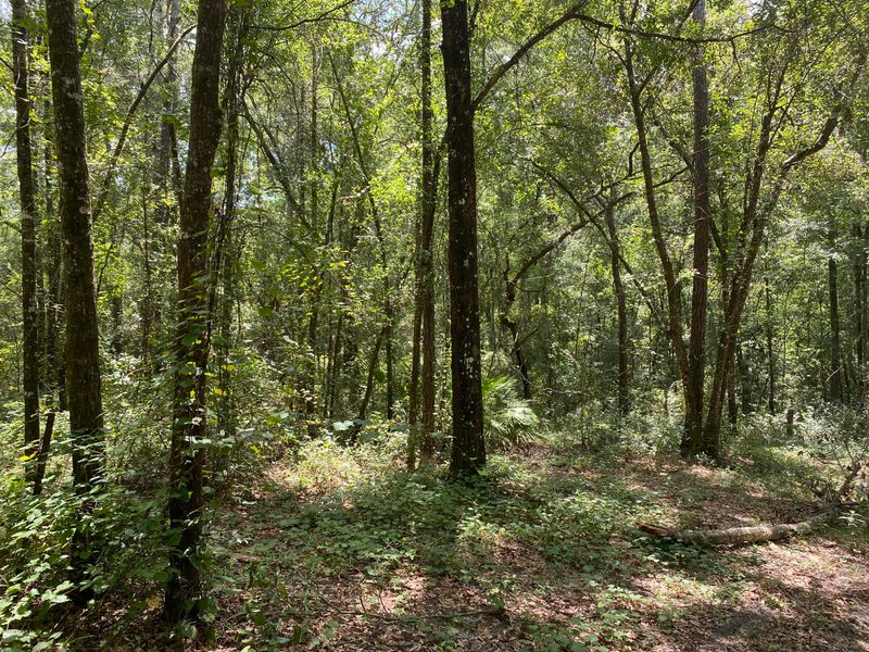0 Us 17, Green Cove Springs, FL 32043