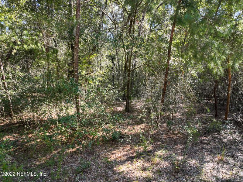 0 W R Thomas Rd, Keystone Heights, FL 32656
