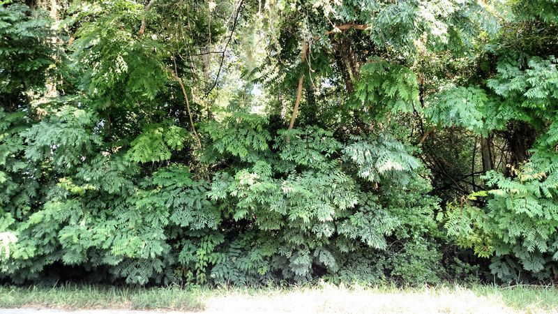 0 Wisteria, St Augustine, FL 32086