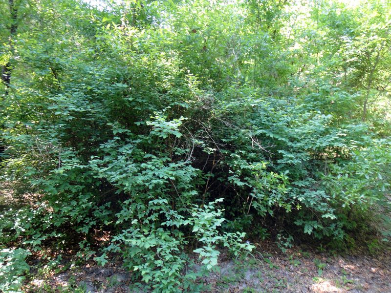 00 Arthur Moore Dr, Green Cove Springs, FL 32043