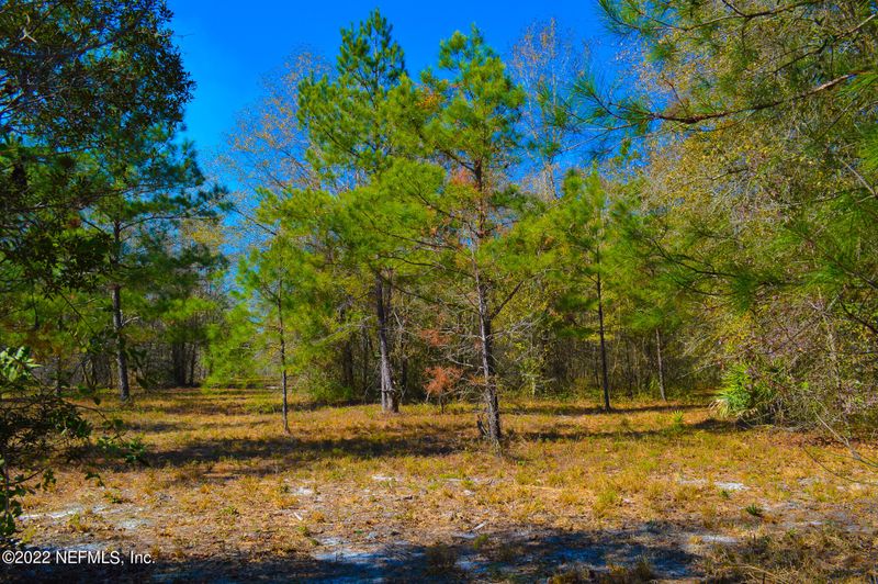 00 George Mosley, Maxville, FL 32234