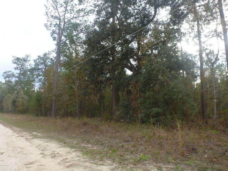 00 Jack Oak Dr, Melrose, FL 32666