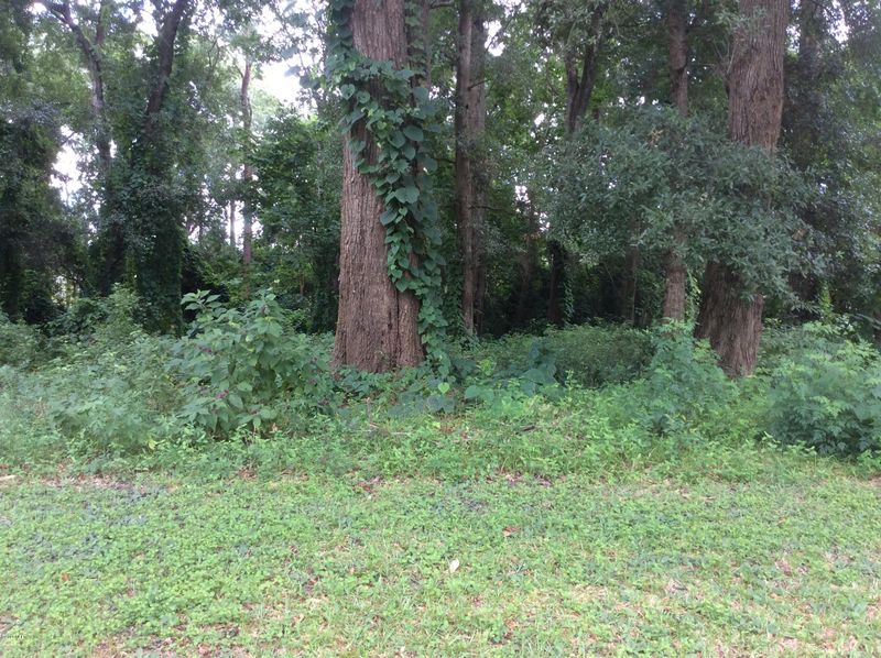 00 Kellow Dr, Jacksonville, FL 32216