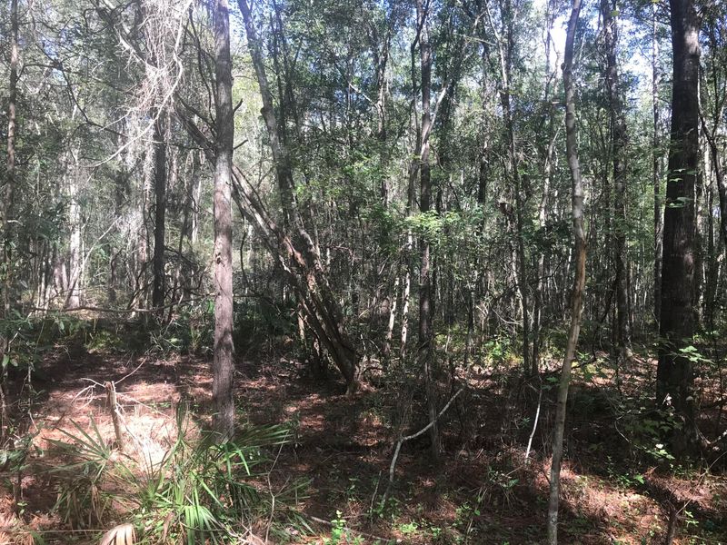 00 NW 188th Ter, Starke, FL 32091