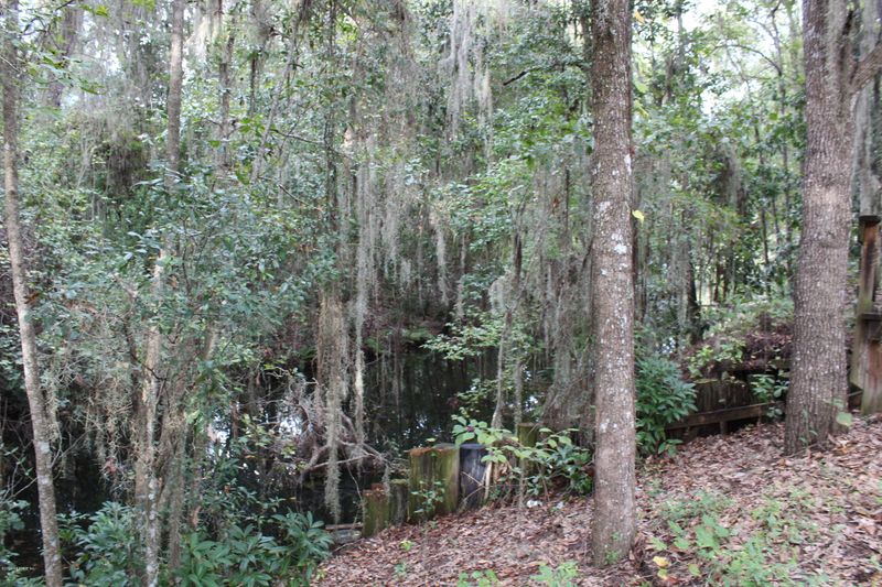 00 SE 28th Way, Melrose, FL 32666