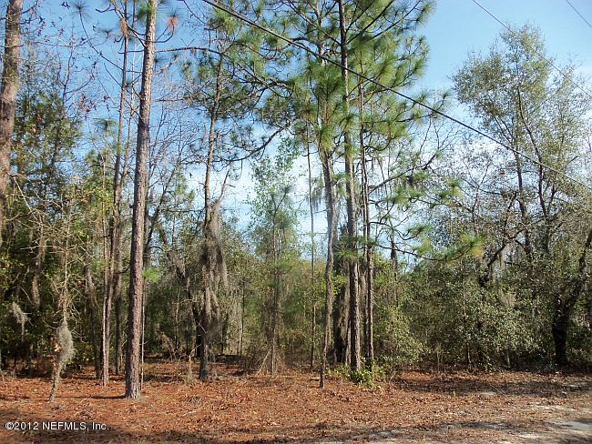 00 Wolverine Ln, Keystone Heights, FL 32656
