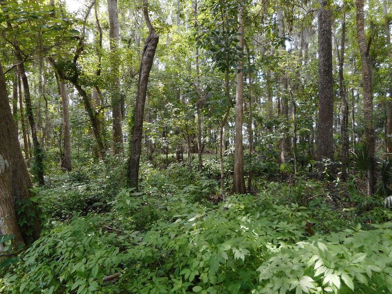 000 County Road 13, St Augustine, FL 32092