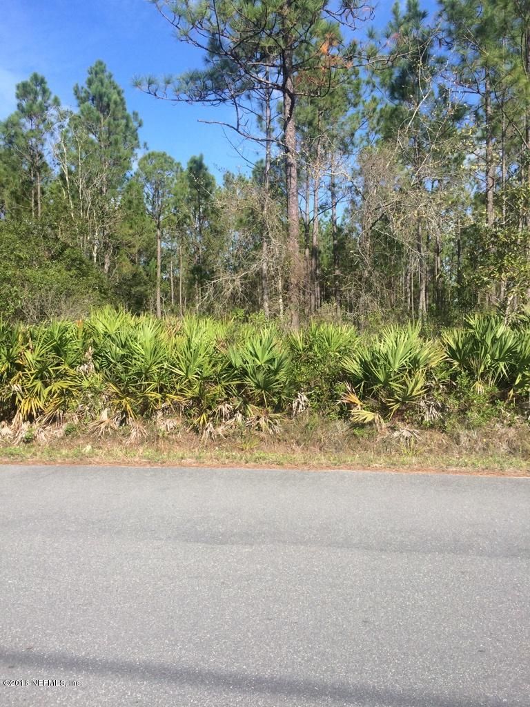 000 Hattie Nolan Rd, Middleburg, FL 32068
