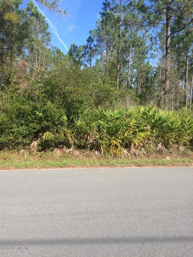 000 Hattie Nolan Rd, Middleburg, FL 32068