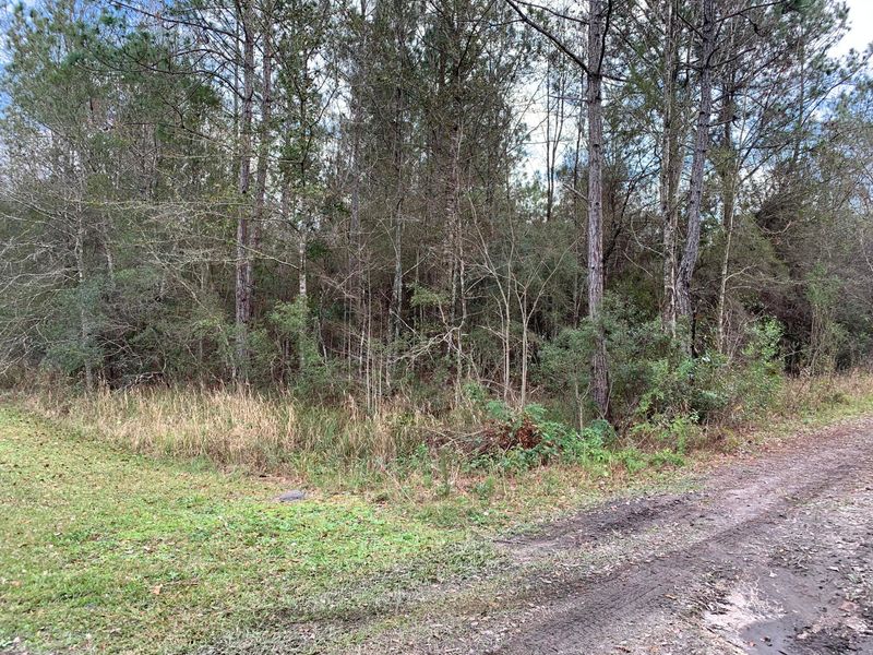 000 NE 162nd Way, Starke, FL 32091