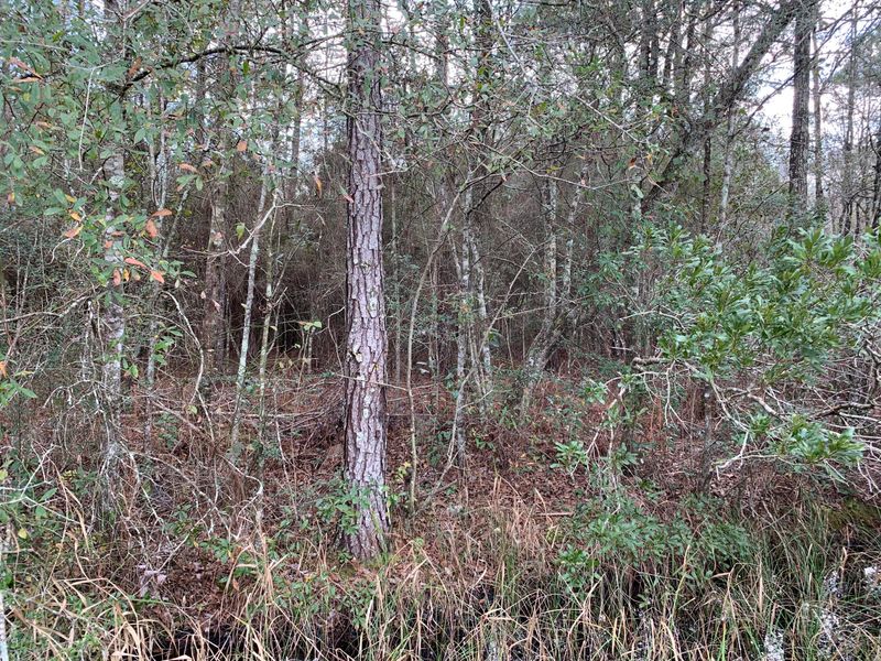 000 NE 162nd Way, Starke, FL 32091