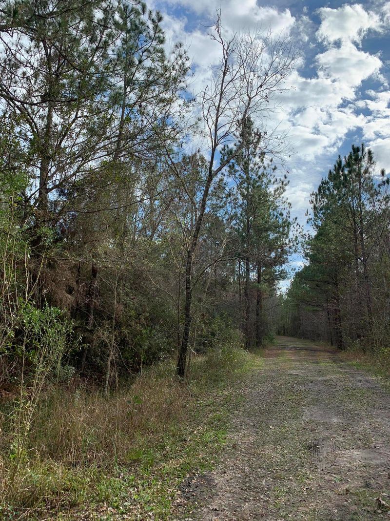 000 NE 162nd Way, Starke, FL 32091