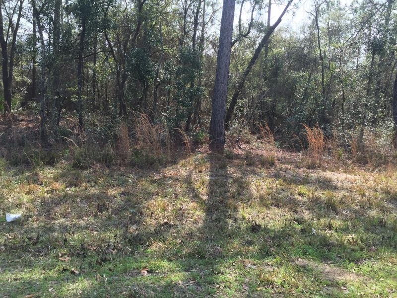 0000 57th St, Keystone Heights, FL 32656