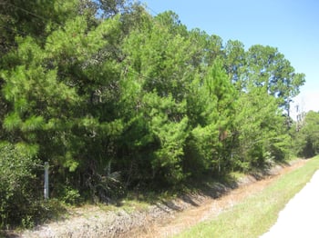 0000 Catlett Rd, St Augustine, FL 32095