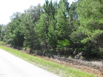 0000 Catlett Rd, St Augustine, FL 32095