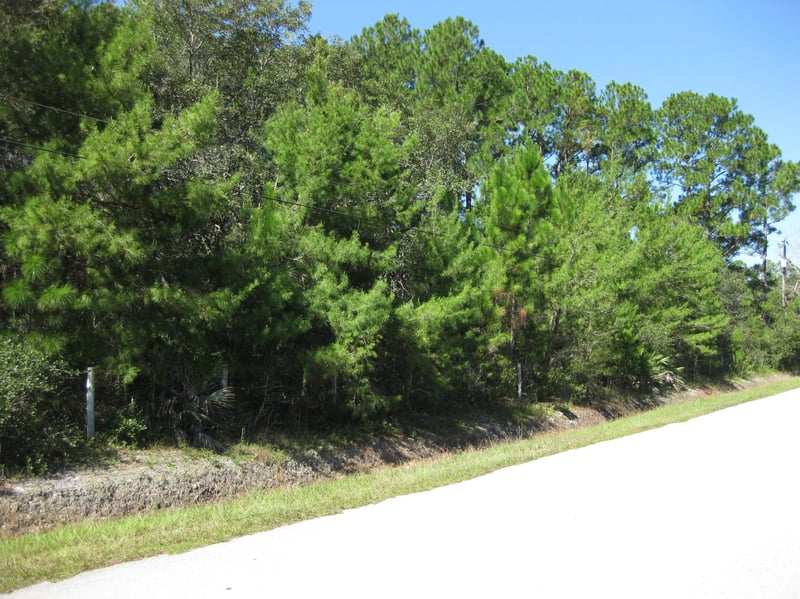 0000 Catlett Rd, St Augustine, FL 32095