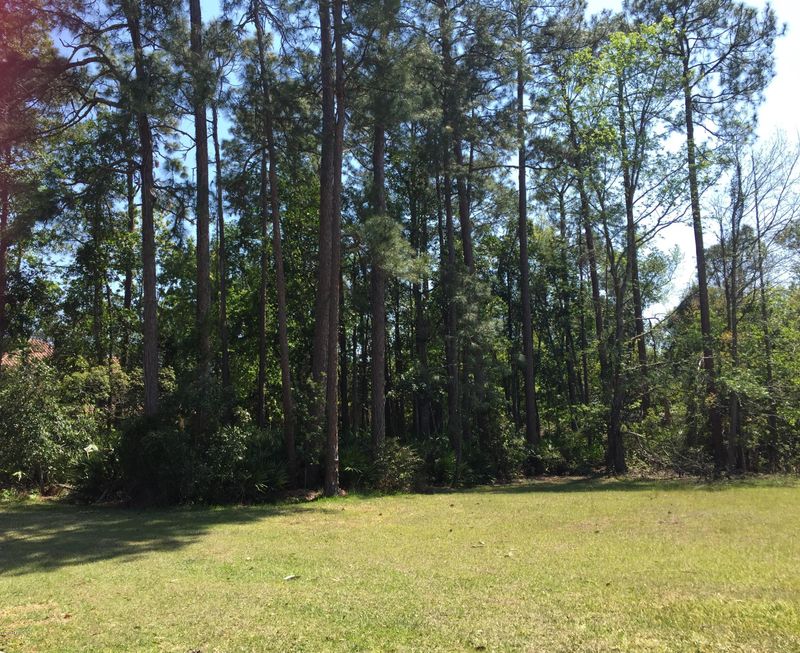 0000 Mar Del Plata St E, Jacksonville, FL 32256