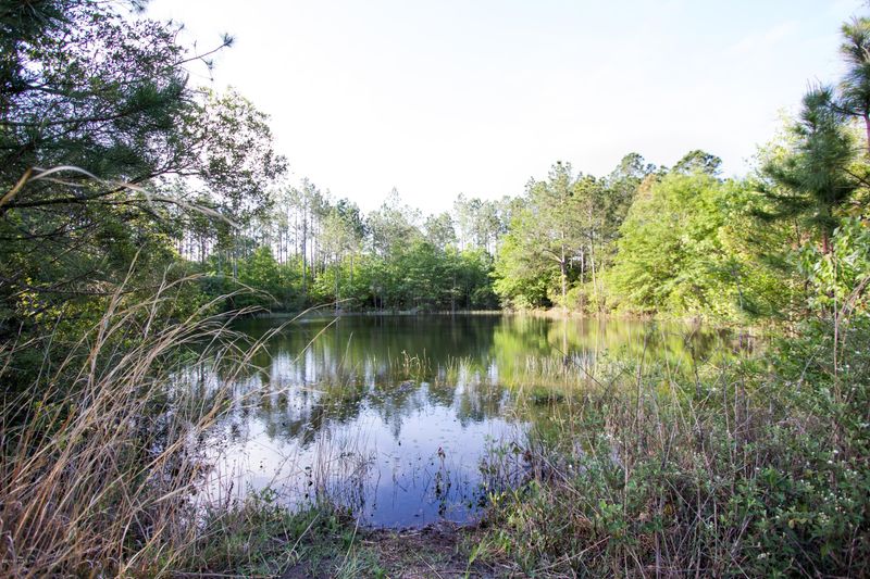 0000 Yellow Water Rd, Jacksonville, FL 32234