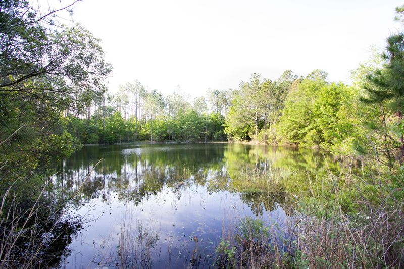 0000 Yellow Water Rd, Jacksonville, FL 32234