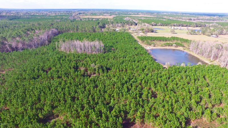 1 Adams Ln, Green Cove Springs, FL 32043