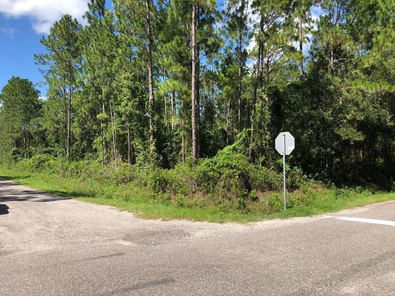 10060 Dillon Ave, Hastings, FL 32145